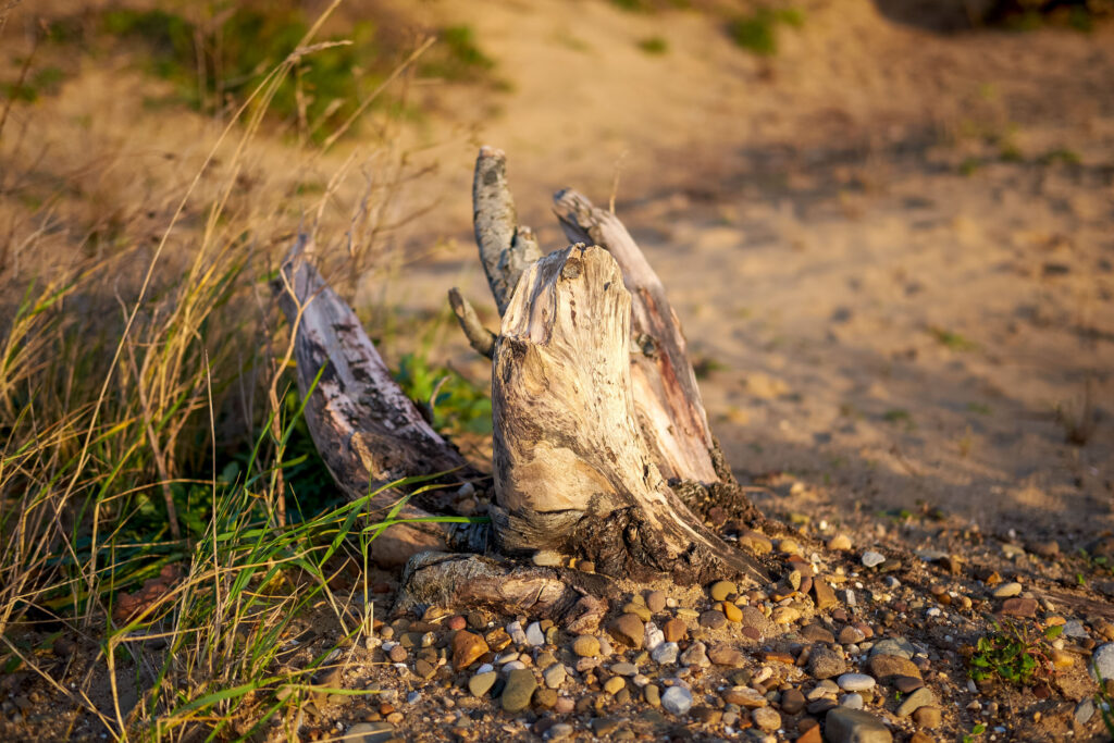 Fujifilm X-T1 sample image