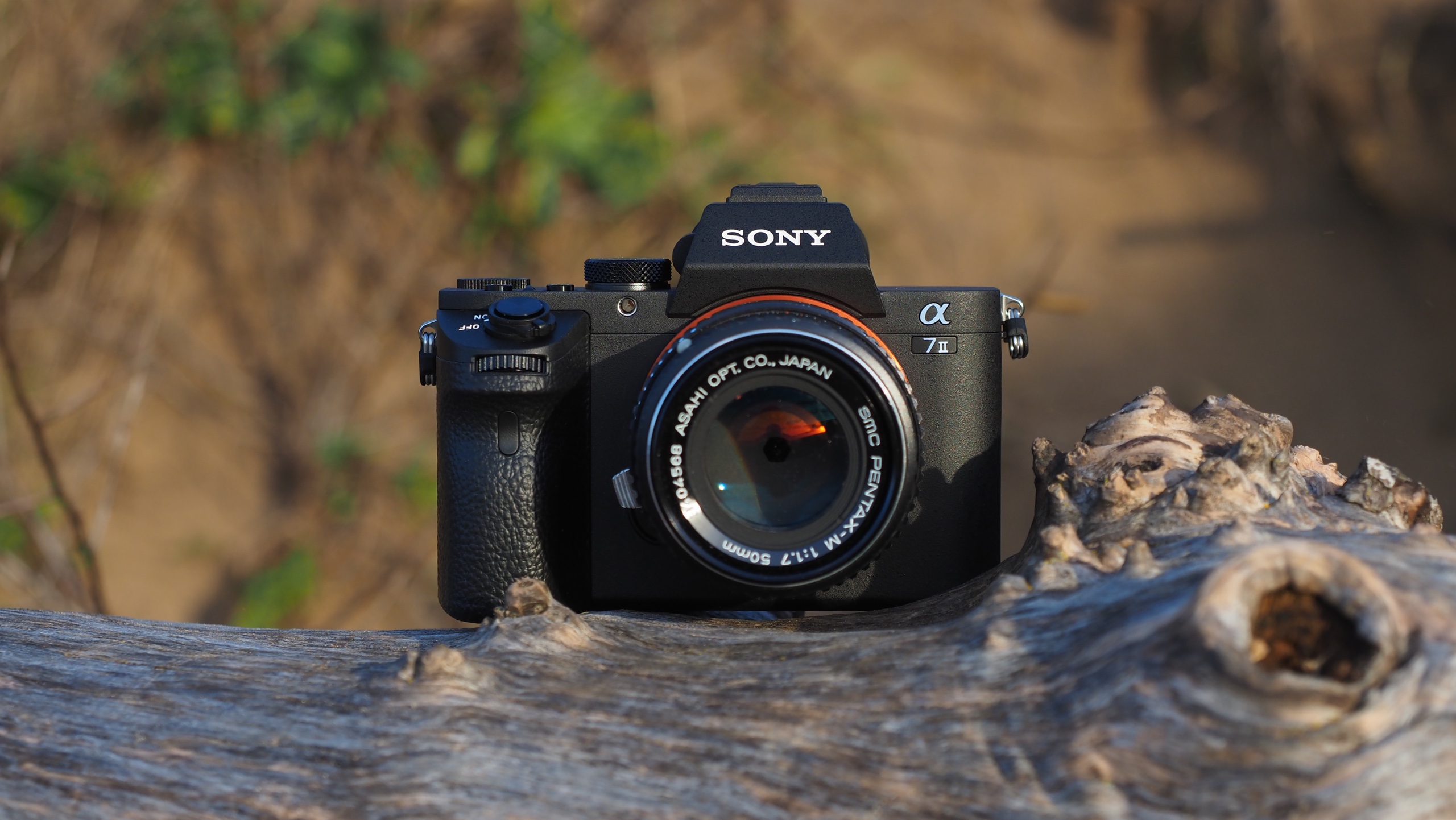 Sony A7 II review in 2024 - fotovolo